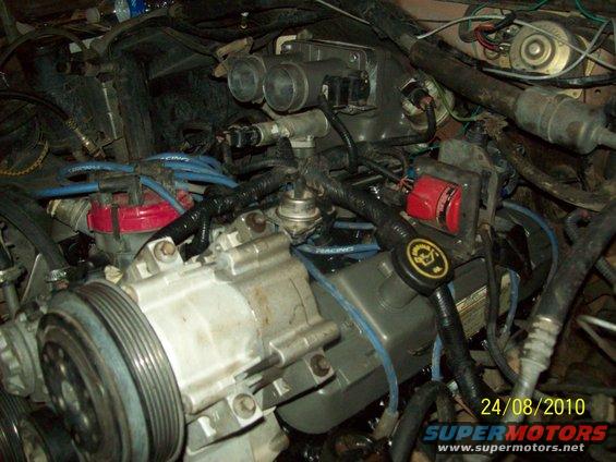 Engine bay with various hoses, wires, and engine components visible. Includes a red distributor cap and a black oil cap with a yellow symbol