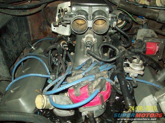 Engine bay with dual throttle body, distributor cap, and spark plug wires