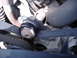 1995 Ford F-150 - Close-up view of engine components, including a belt and pulley system, with visible hoses and metal parts.