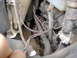 1995 Ford F-150 - Engine bay detail with hoses and wiring, showing signs of wear and rust.