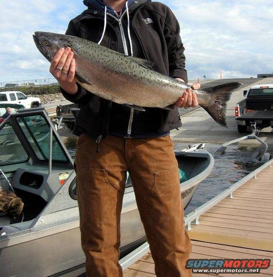 Person holding a large salmon near a boat ramp with trucks in the background