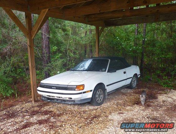 white convertible parked under a wooden shelter, a cat walks nearby