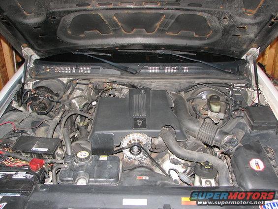 Engine bay of a 2003 Ford Crown Victoria. Shows the V8 engine, battery, and various hoses and components under the hood