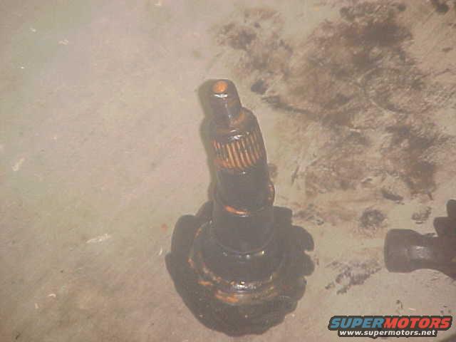 mvc029s.jpg 