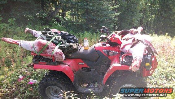 Red ATV loaded with two large animal carcasses and gear, parked in a wooded area
