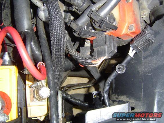 Engine bay wiring harness with red battery cable, black protective sleeving, and electrical connectors