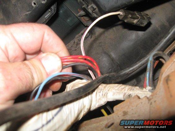 Hand holding a bundle of red, black, and blue wires connected to a black electrical connector