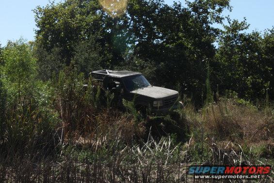 1992 Ford Bronco in overgrown brush, 3q-front view