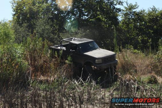 1992 Ford Bronco with roll cage driving through tall grass and brush