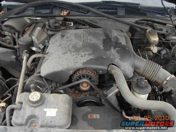 Engine bay with V8 engine, alternator, and coolant reservoir. Watermark shows 01.05.2010