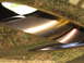 2008 Yamaha R1 - Close-up of a shiny chrome motorcycle exhaust pipe, reflecting sunlight and surrounding grass.