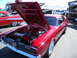 DSCN0565.JPG