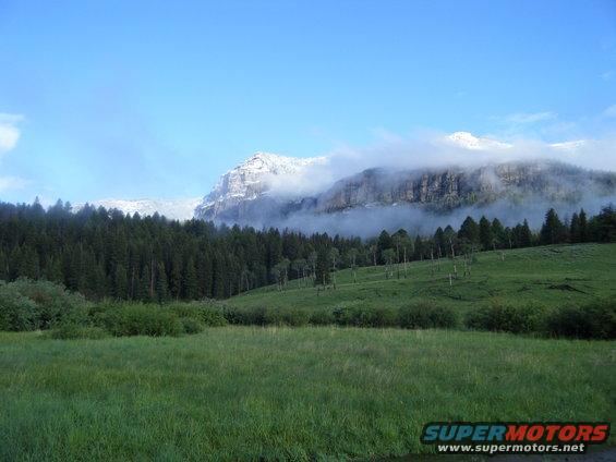 Mountain range with snow-capped peaks shrouded in mist, dense pine forest, and grassy meadows under a blue sky