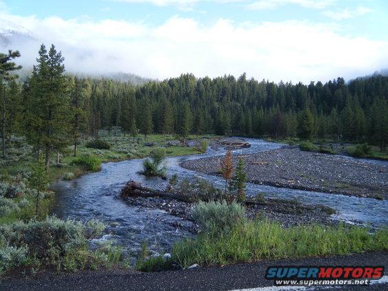 River flowing through a forest with mountains in the background