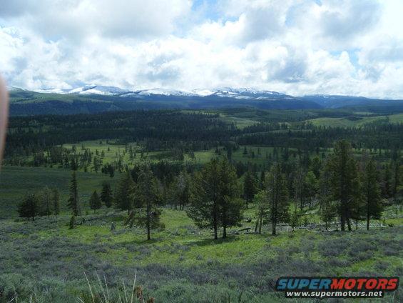 Mountainous landscape with pine forests and green meadows under a cloudy sky