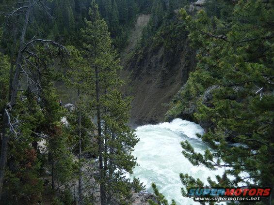 Waterfall cascading into a canyon, surrounded by pine trees