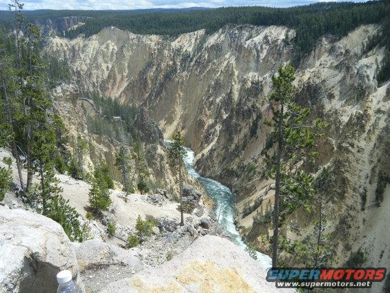 Yellowstone Grand Canyon with river and pine trees