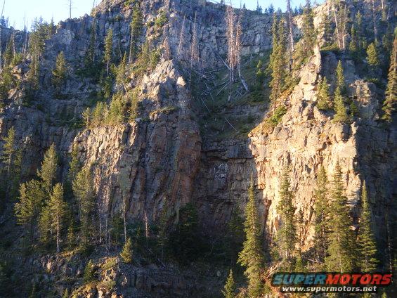 Rocky cliff face with scattered pine trees and dead trees, lit by sunlight