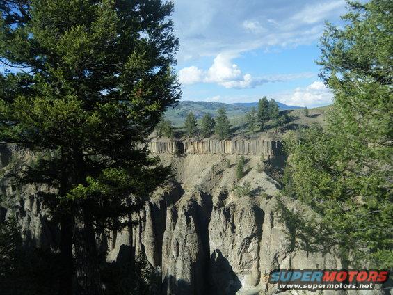 Canyon landscape with columnar basalt formations and pine trees