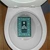 Toilet bowl with "The Queen's Curse" box