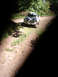 1992 Ford Bronco - This 1980s Ford F-Series truck is parked on a dirt road surrounded by trees.