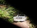 1992 Ford Bronco - Ford Bronco navigating a wooded trail, front view.