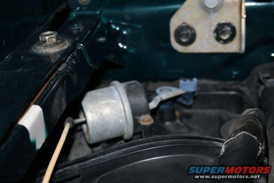 Engine bay detail with a metal canister and hoses, dark green paint