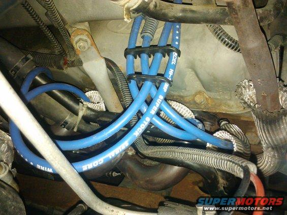 Blue spark plug wires and exhaust manifold in engine bay