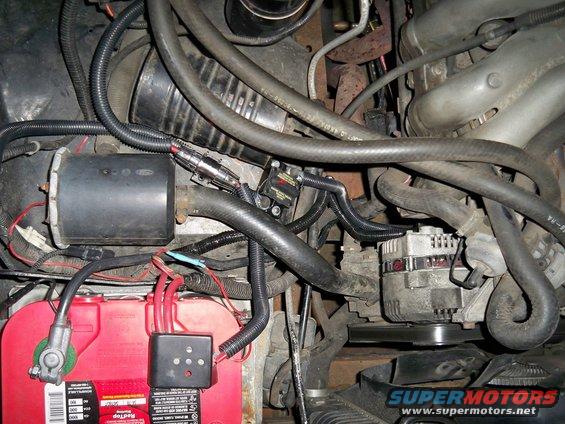 Engine bay with red battery, alternator, and various hoses and wiring