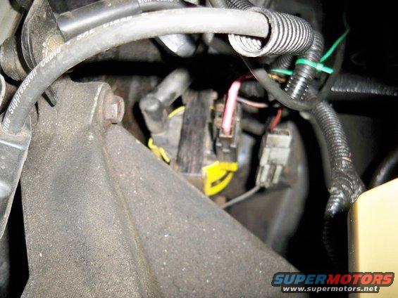Close-up of engine wiring harness and connectors, some yellow and pink wires visible