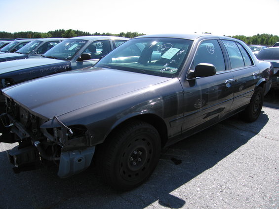 picture-004.jpg 