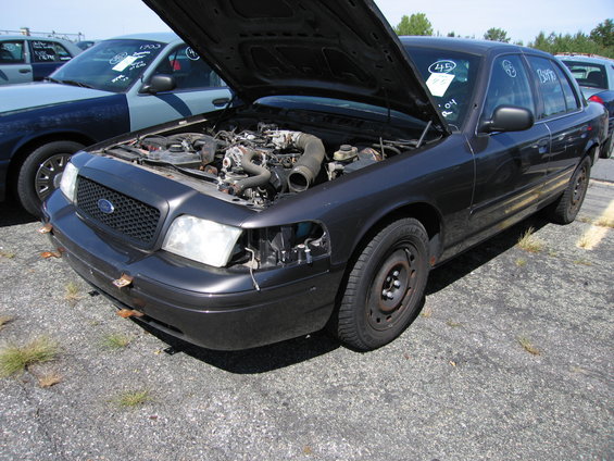 picture-016.jpg 