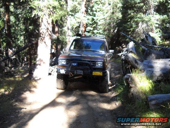 Brown Ford Bronco II with bull bar and winch on dirt road in forest