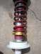 2003 Acura TL - This is an adjustable coilover suspension part, a red spring and gold locking collars, likely for performance tuning.