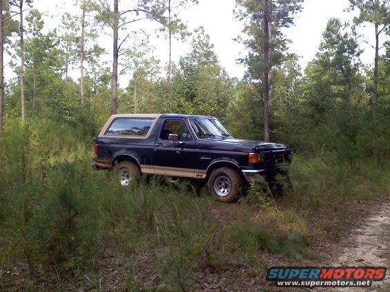 Dark blue Ford Bronco with tan top parked on a dirt path in a wooded area