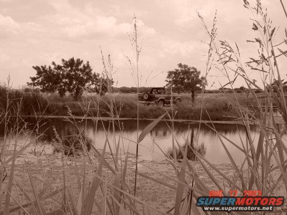 1984 Ford Bronco parked by a lake with tall grass in the foreground