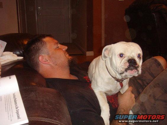 Man and white bulldog resting on a couch