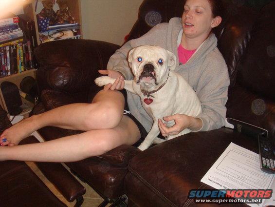 Woman holding a white bulldog on a leather couch, with bookshelves in the background