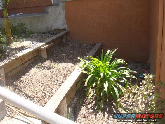 Garden bed with wooden borders and plants, Supermotors.net logo