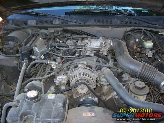 Engine bay of a 2002 Ford Crown Victoria, showing alternator, belts, and hoses