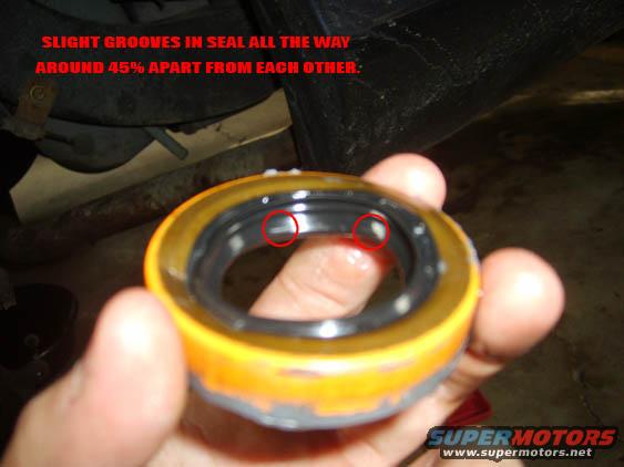 Close-up of a yellow and black seal with red circles highlighting small grooves