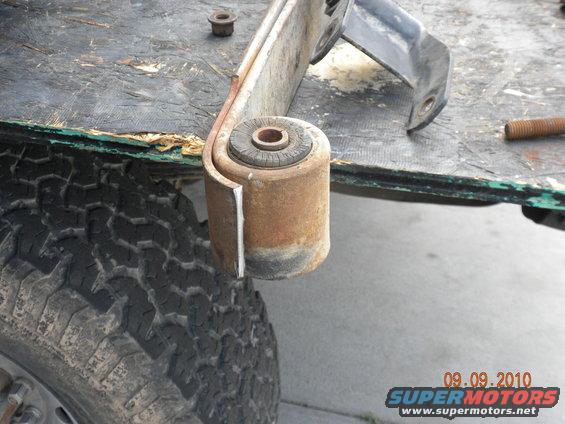 cutting-spring.jpg 