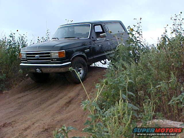 mvc003s.jpg 