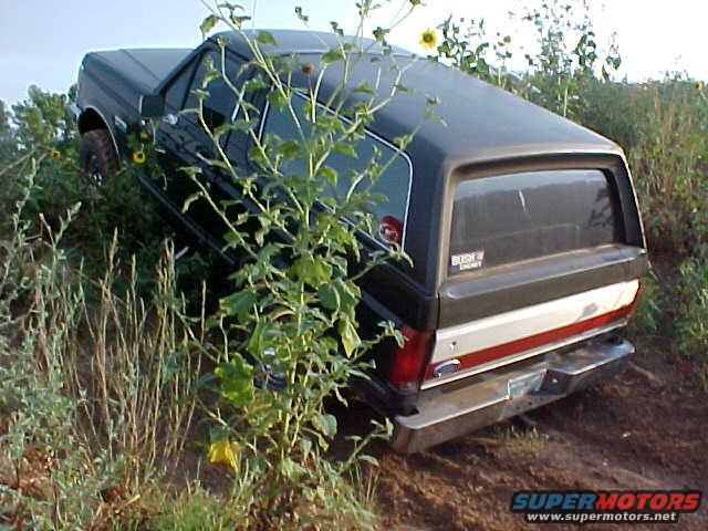 mvc004s.jpg 