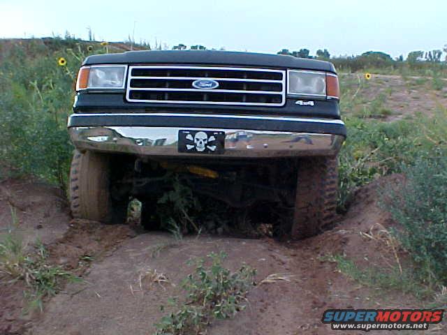 mvc007s.jpg 
