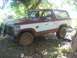 1984 Ford Bronco