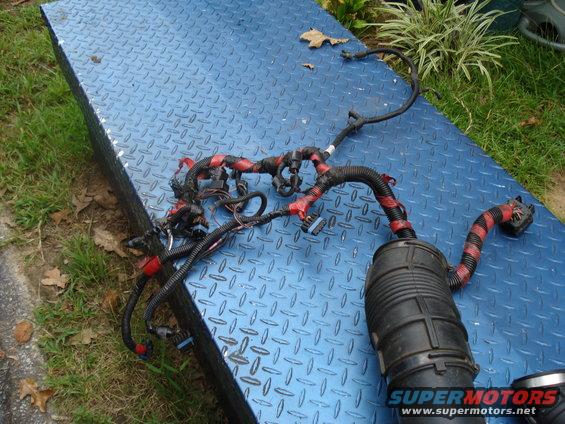 Engine wiring harness and air intake tube on blue metal surface