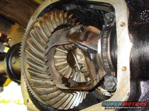 Close-up of differential gears with oil. Some teeth appear worn