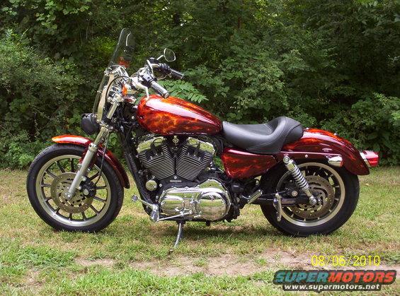 2010 Harley-Davidson Electra Glide motorcycle with custom flame paint job, parked on grass