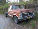 1973 Ford F-250 - This 1973 Ford F-250 truck is seen from the front, with visible rust and foliage in the background.